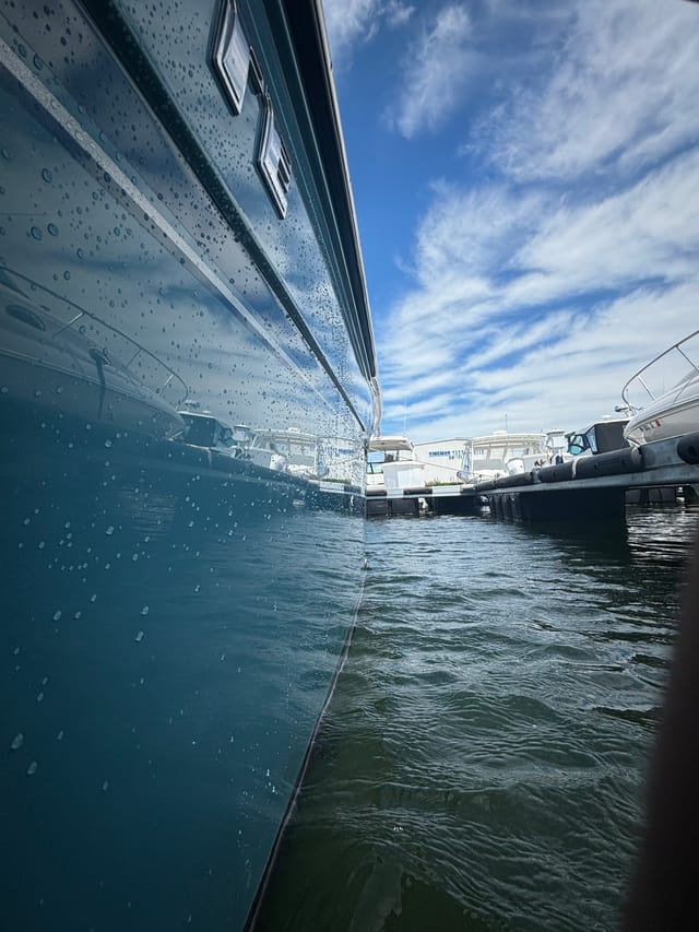 Boat detailing professional at work